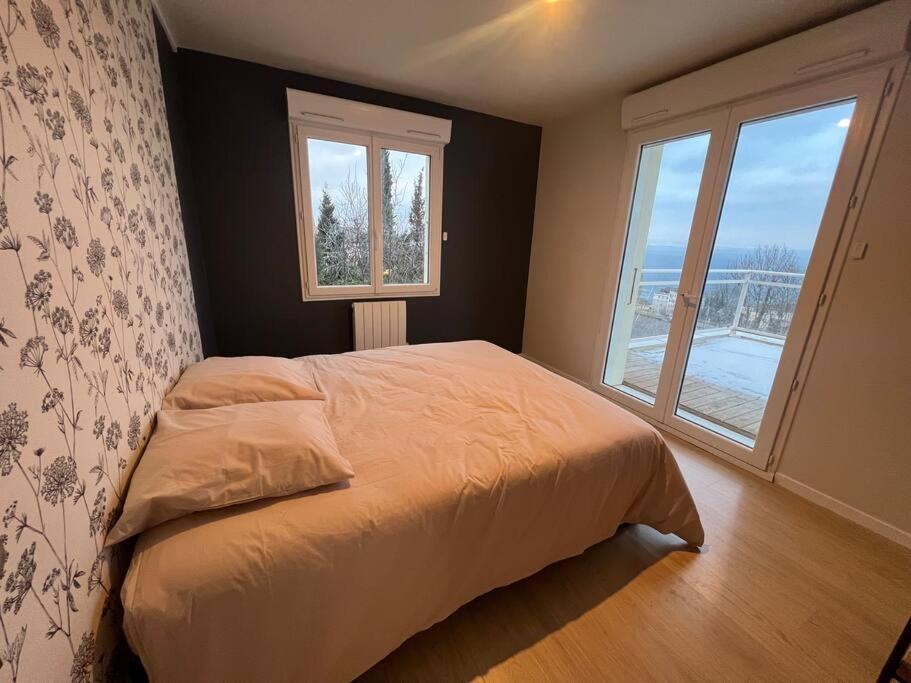 Leman Panoramique Avec Terrasse A Deux Pas Du Centre-Ville エヴィアン・レ・バン エクステリア 写真